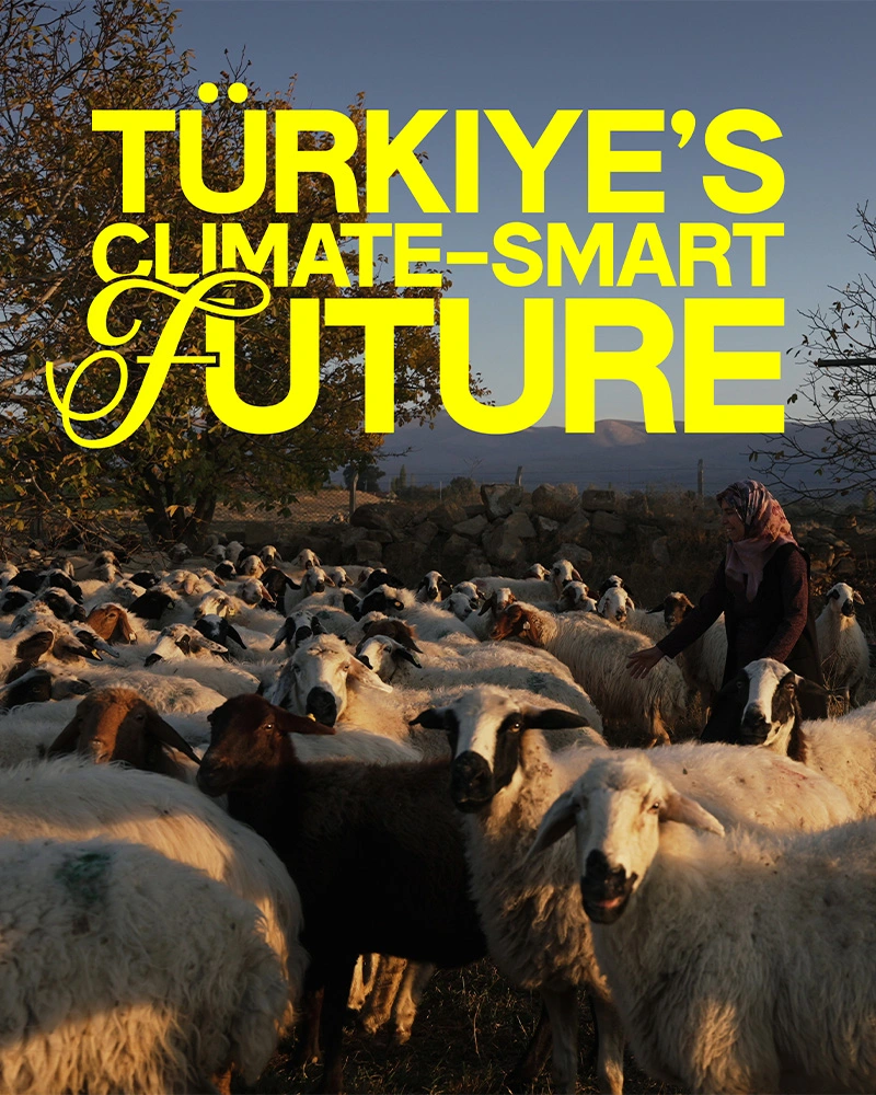 Turkiye Poster design by Marcelo Gonzales Montoya